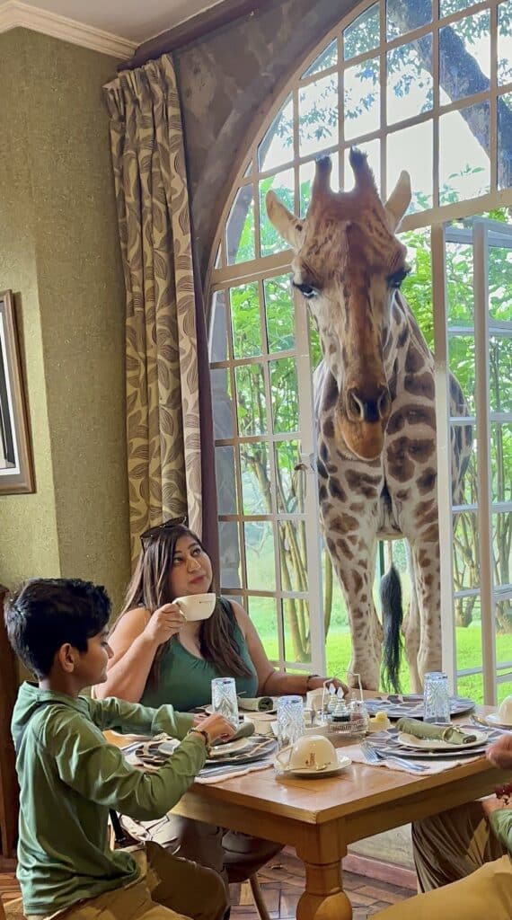 Breakfast with giraffees in Kenya, Africa